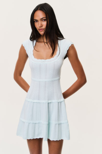 Laighton Stretch Pointelle Mini Dress - DUSTY LAGOON