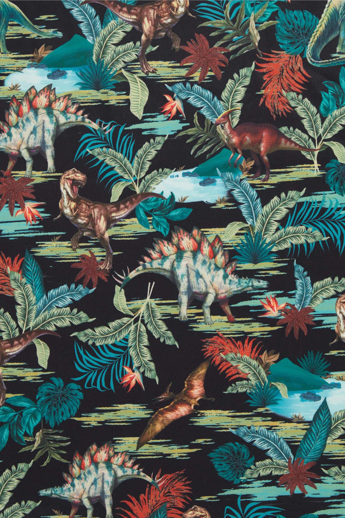 Amanda Black Forest Dinosaur Swing Dress
