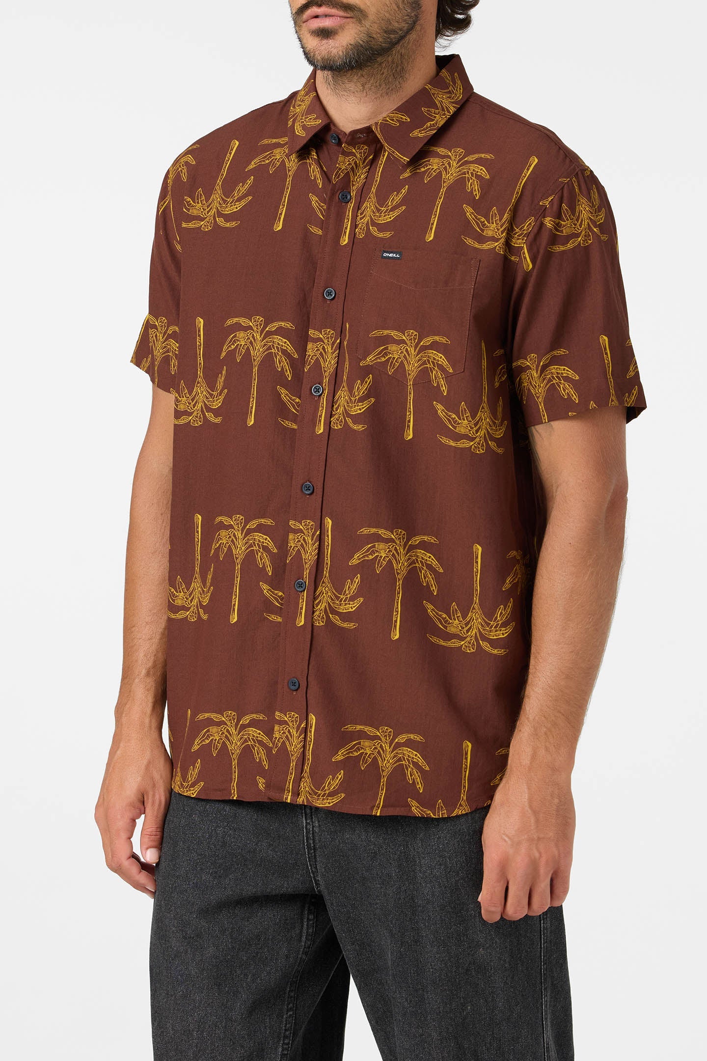Oasis Standard Fit Shirt