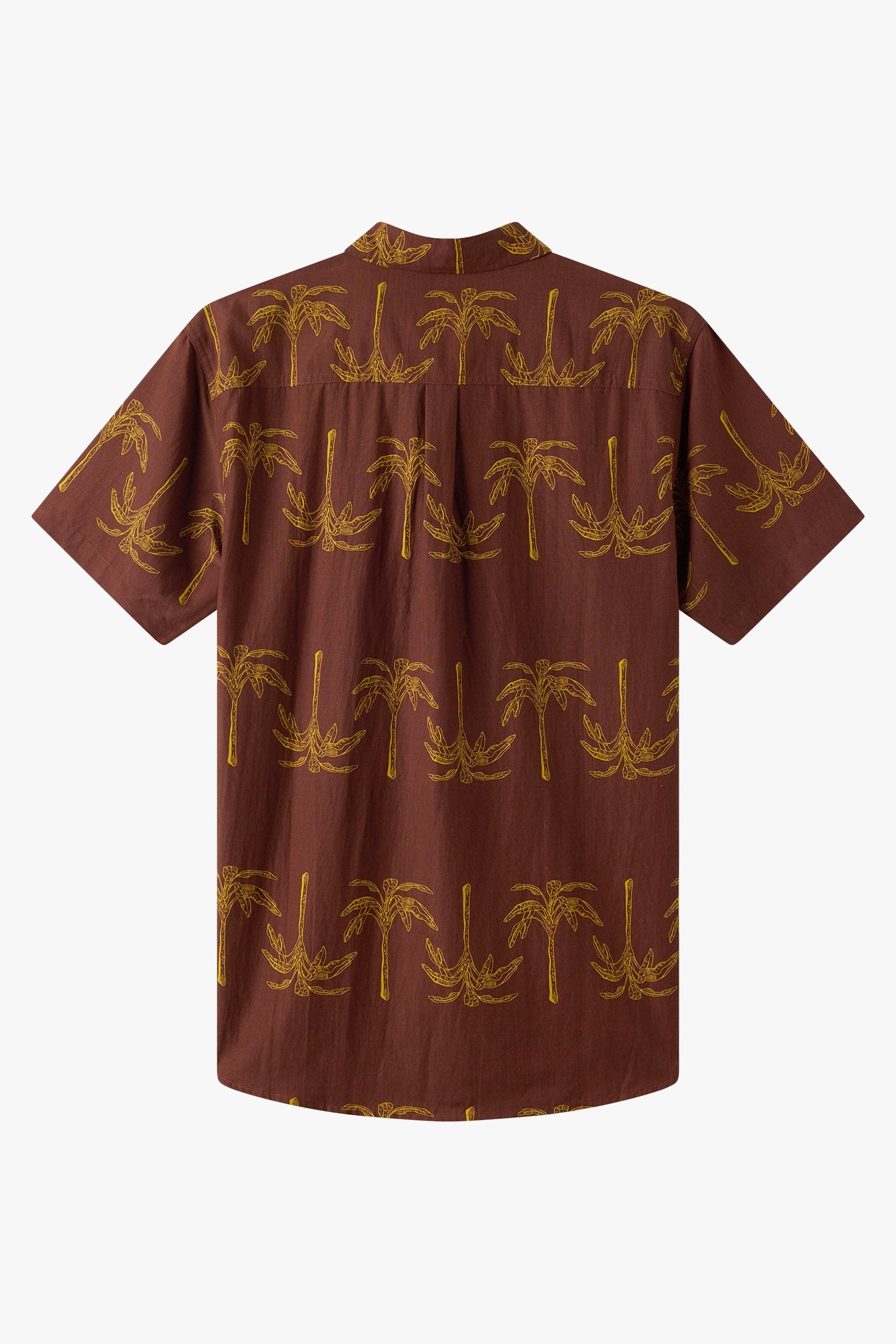 Oasis Standard Fit Shirt