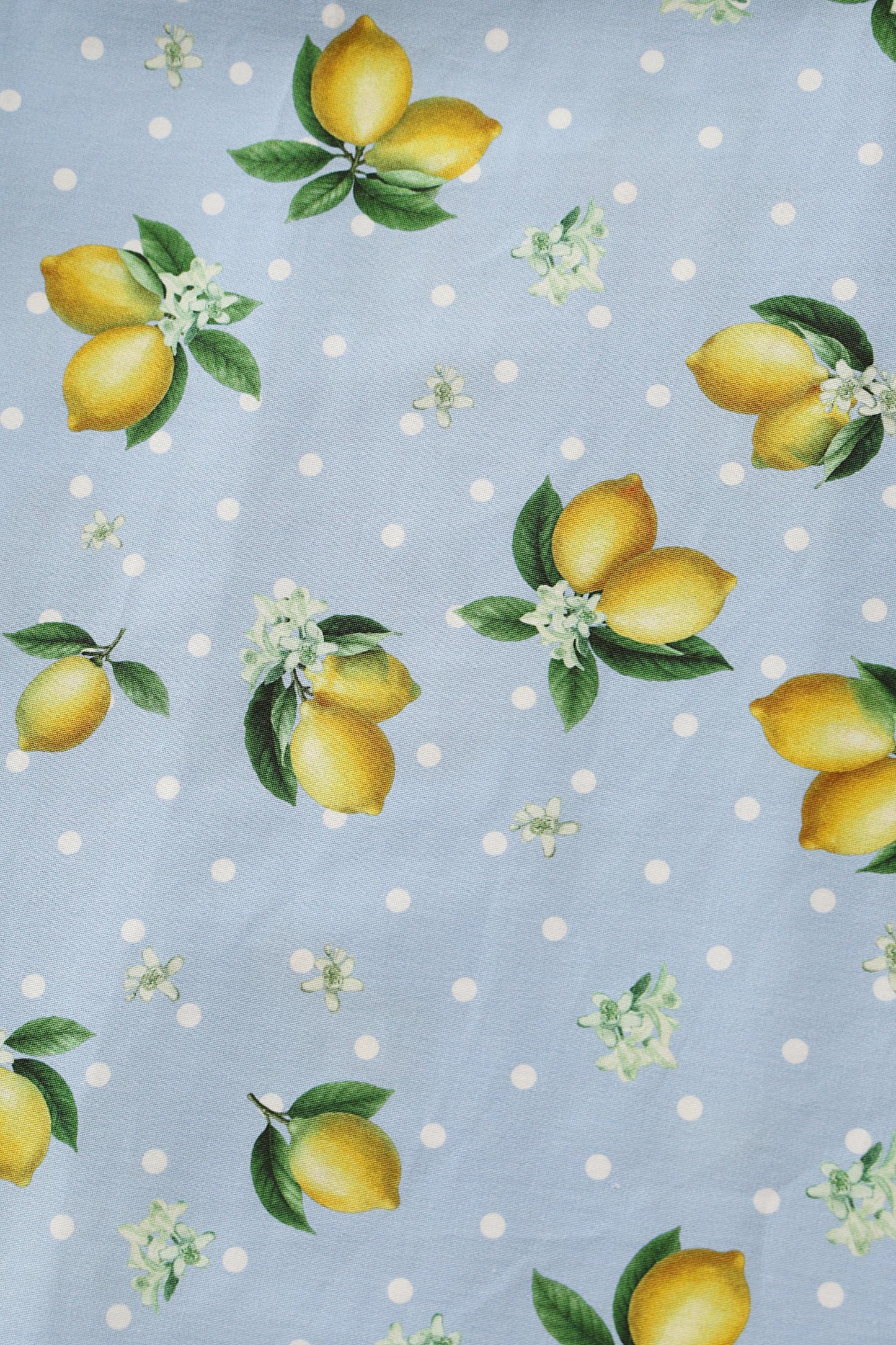 Ophelia Blue Midi Dress in Lemons and Spots