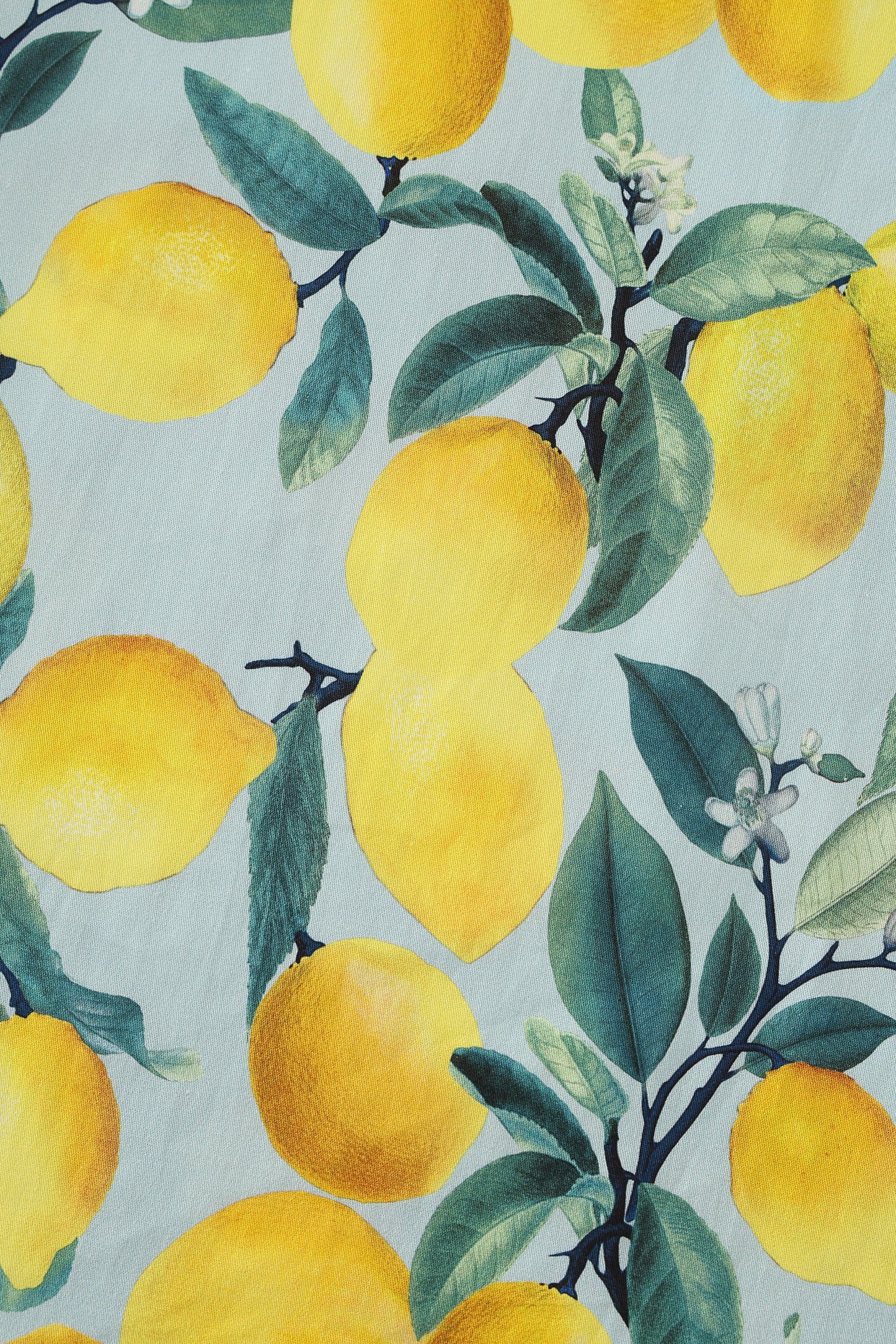 Amanda Summer Lemon Dress In Light Blue