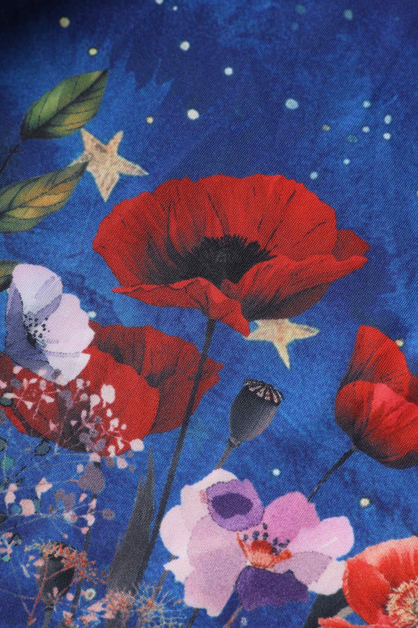Amanda Black Cat Midnight Garden Swing Dress