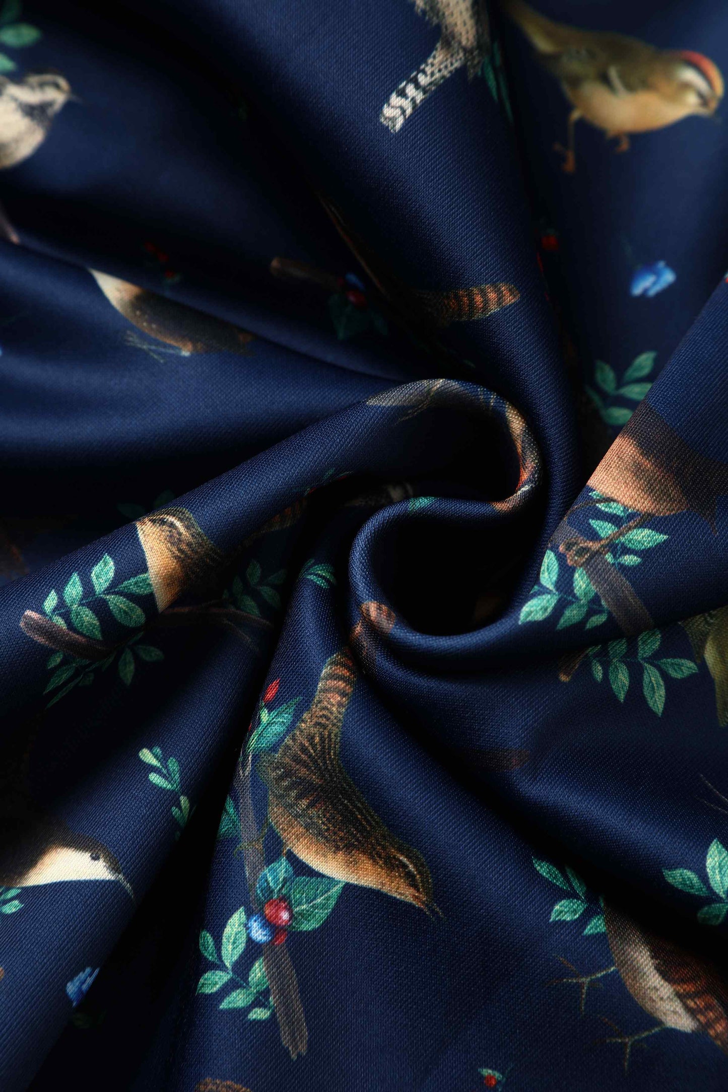 Amanda Blue Bird Print Swing Dress
