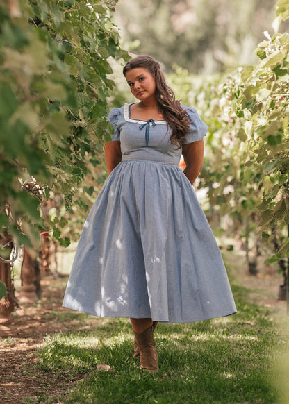 Giselle Micro Gingham Print Dress - Blue