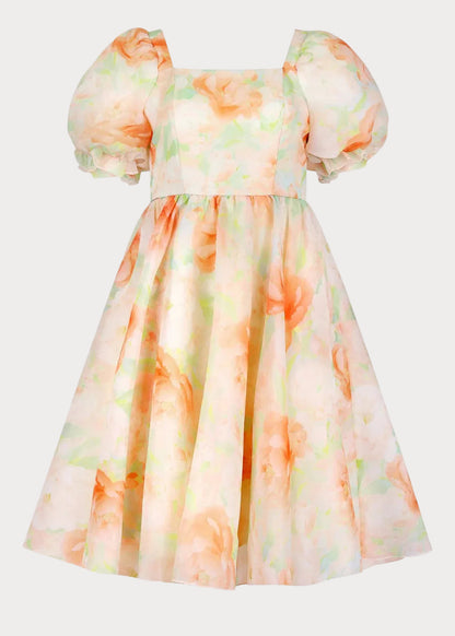 Poppy Dress