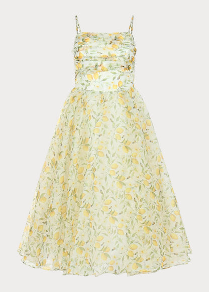 Sweet Bee Dress