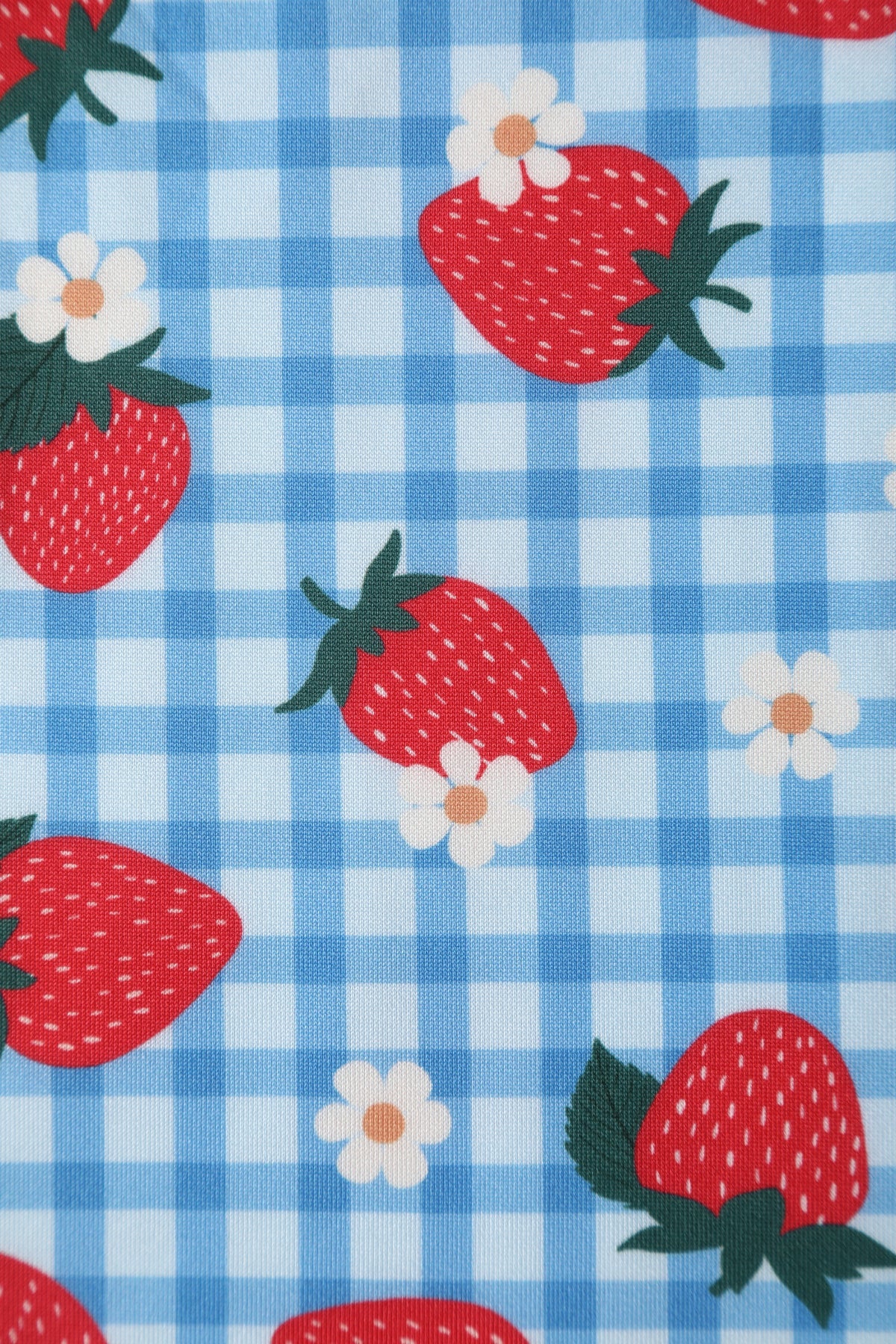 Lily Summer Strawberry Blue Gingham Dress