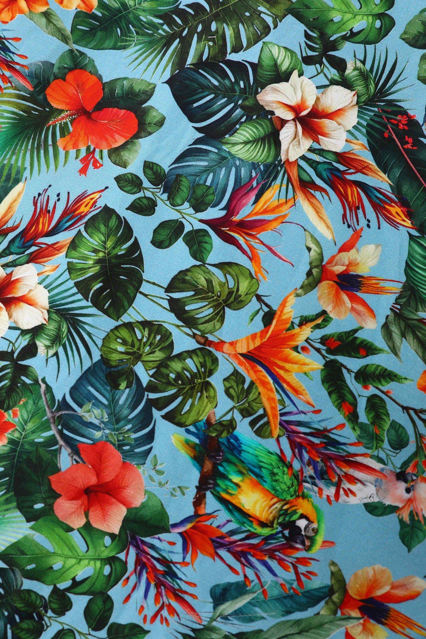 Daisy Tropical Parrot Halter Dress